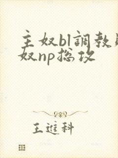 主奴bl调教贱奴np总攻封面