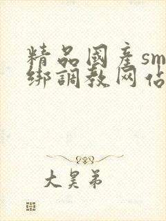 精品国产sm捆绑调教网站