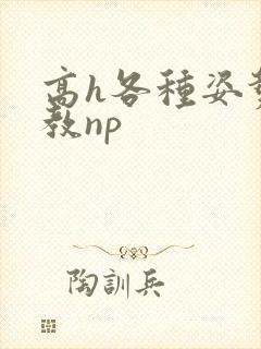 高h各种姿势调教np封面