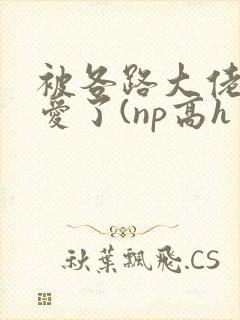 被各路大佬强制爱了(np高h封面