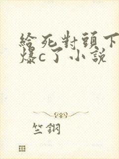 给死对头下药被爆c了小说