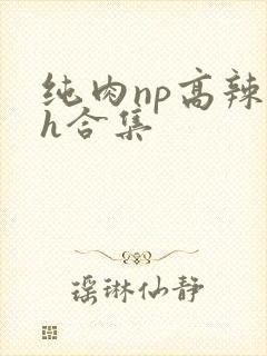 纯肉np高辣文h合集