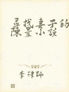 寻找妻子的秘密陈晨小说封面