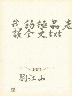 我的极品老婆小说全文txt