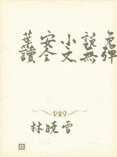 叶安小说免费阅读全文无弹窗