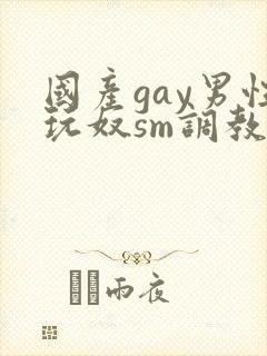 国产gay男性玩奴sm调教封面