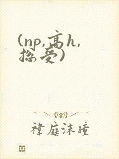 (np,高h,总受)