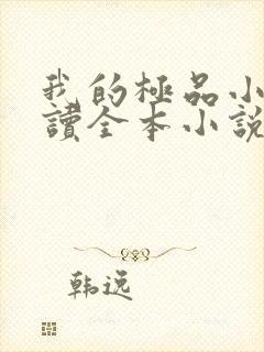 我的极品小姨阅读全本小说