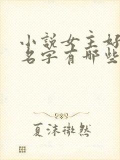 小说女主好听的名字有哪些