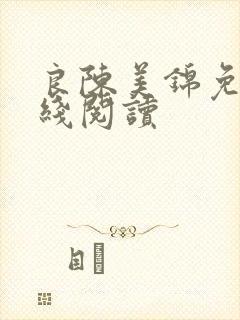 良陈美锦免费在线阅读