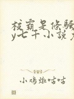 校霸是条骚狗by七千小说免费阅读封面