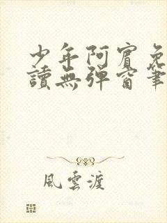 少年阿宾免费阅读无弹窗笔趣阁