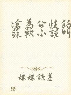 沧为公歧的校花苏软小说叫封面