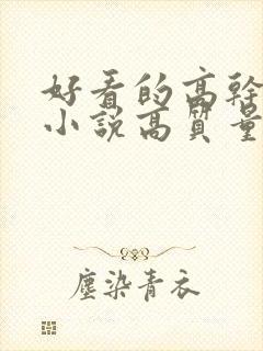 好看的高干言情小说高质量文笔好封面