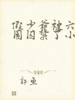 假少爷被六个哥团囚禁了小说