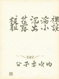 校花沉沦裸体羞耻露出小说