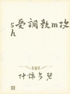 s受调教m攻高h封面