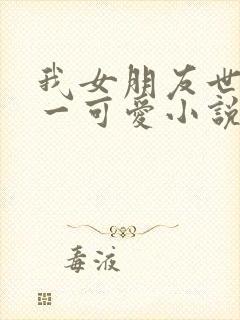 我女朋友世界第一可爱小说免费阅读