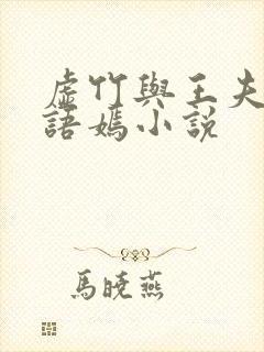 虚竹与王夫人王语嫣小说封面