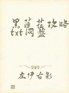 黑莲花攻略小说txt网盘