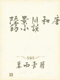 陆景川和唐柔柔的小说