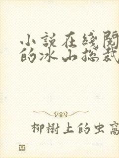 小说在线阅读我的冰山总裁老婆