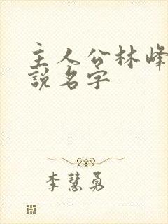 主人公林峰的小说名字封面