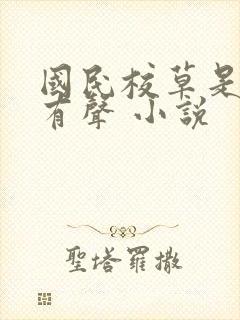 国民校草是女生有声 小说封面