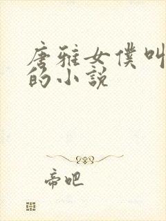 唐雅女仆叫主人的小说