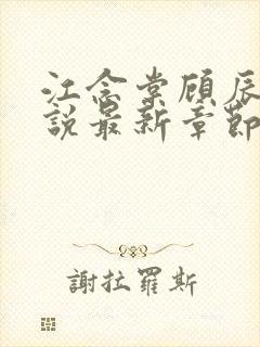 江念棠顾辰聿小说最新章节免费阅读