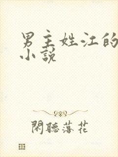 男主姓江的校园小说封面