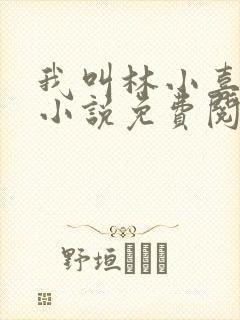 我叫林小喜全文小说免费阅读