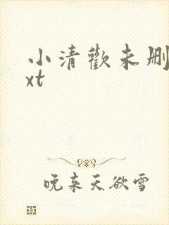 小清欢未删减txt