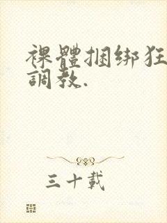 裸体捆绑狂虐性调教.封面