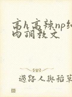 高h高辣np纯肉调教文封面