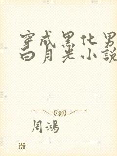 穿成黑化男主的白月光小说完整版