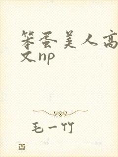 笨蛋美人高辣h文np