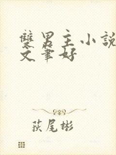 双男主小说推荐文笔好