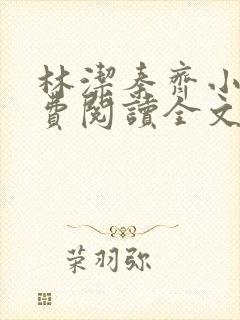 林洁秦齐小说免费阅读全文最新章节