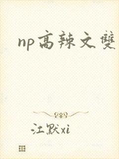 np高辣文双性