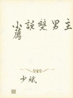 小说双男主 推荐