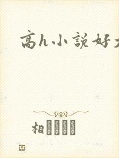 高h小说好大