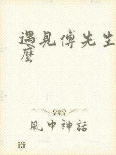 遇见傅先生讲什么