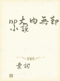 np大肉无节操小说