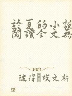 于夏的小说免费阅读全文无弹窗
