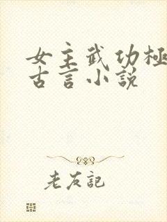 女主武功极高的古言小说封面