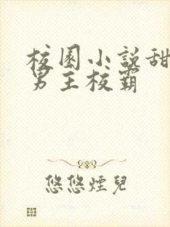 校园小说甜宠文男主校霸