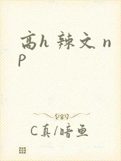 高h 辣文 np