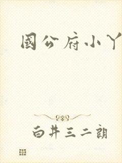 国公府小丫鬟全