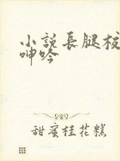 小说长腿校花的呻吟